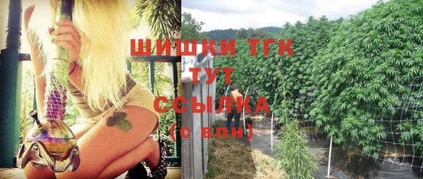 эйфоретик Ельня