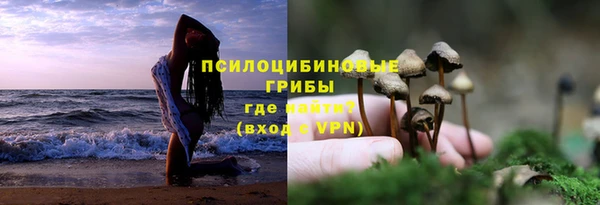 эйфоретик Ельня