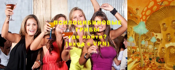 эйфоретик Ельня