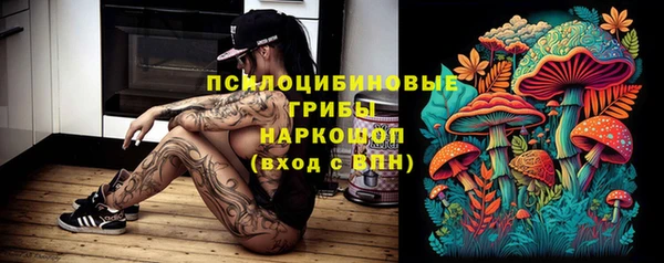эйфоретик Ельня