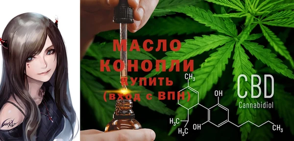 эйфоретик Ельня