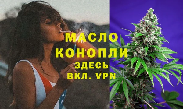 эйфоретик Ельня