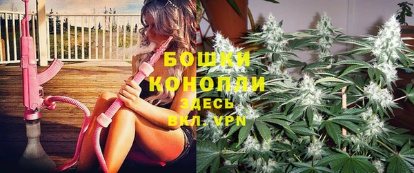 эйфоретик Ельня