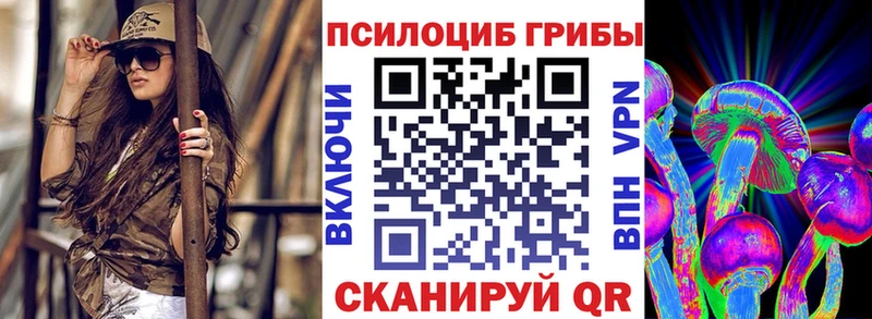 Псилоцибиновые грибы Psilocybine cubensis  hydra ссылка  Таганрог  сколько стоит 