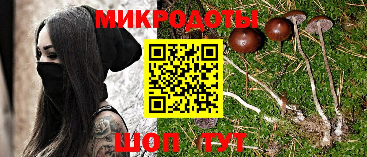 Таганрог  Псилоцибиновые грибы MAGIC MUSHROOMS  Вход с VPN 
